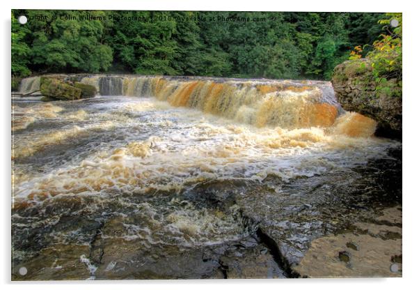 Upper Falls Aysgarth 2018 - 1 Acrylic by Colin Williams Photography