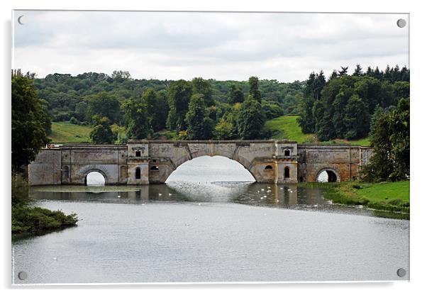 Vanbrugh's Grand Bridge Acrylic by Tony Murtagh