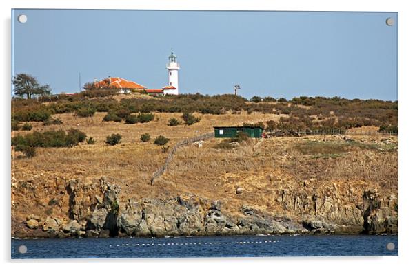 St Ivan Island Lighthouse Acrylic by Tony Murtagh