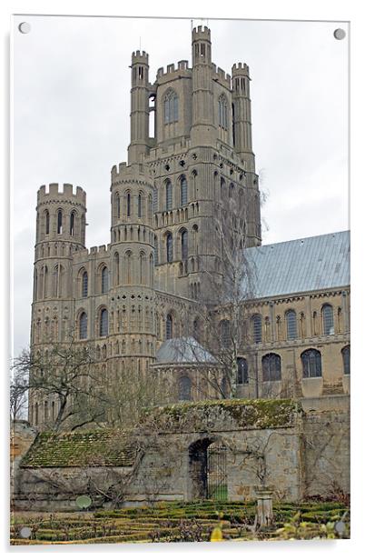 Ely Cathedral Acrylic by Tony Murtagh