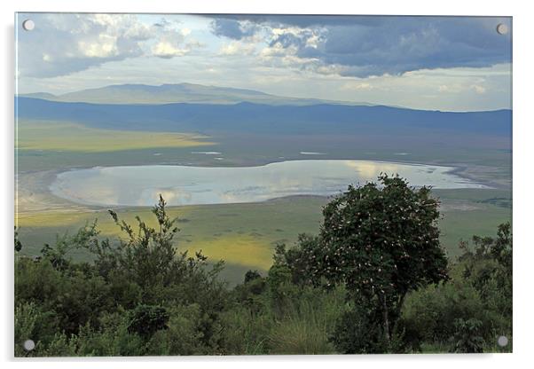Ngorongoro Crater Acrylic by Tony Murtagh