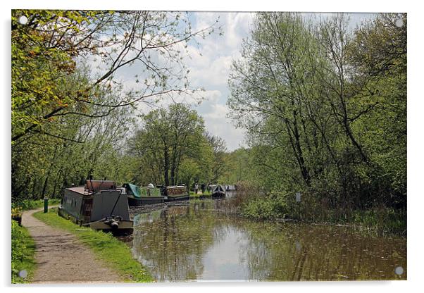 Narrowboats moored on Oxford Canal Acrylic by Tony Murtagh