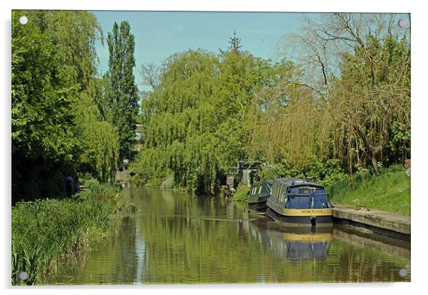 Trees alongside Oxford Canal Acrylic by Tony Murtagh