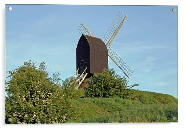 Windmill on Brill Common Acrylic by Tony Murtagh