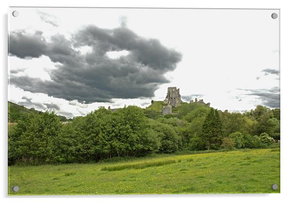 Corfe Castle Acrylic by Tony Murtagh