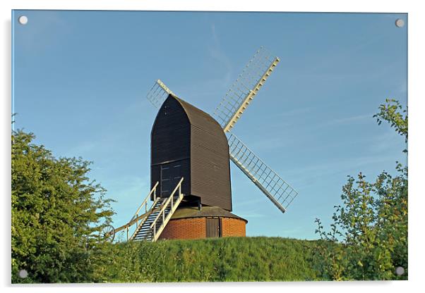 Windmill at Brill Acrylic by Tony Murtagh