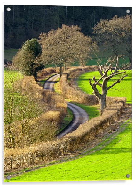 Winding Country Lane Acrylic by Tony Murtagh