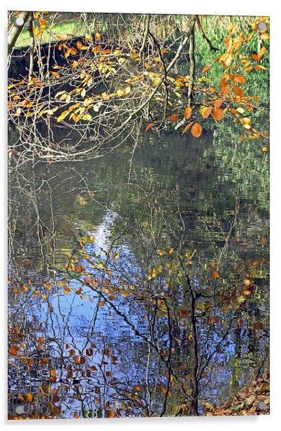 Autumn Reflections Acrylic by Tony Murtagh