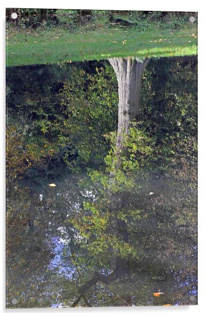 Reflected Tree Acrylic by Tony Murtagh