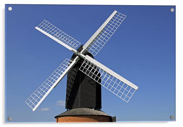 Brill Windmill Acrylic by Tony Murtagh