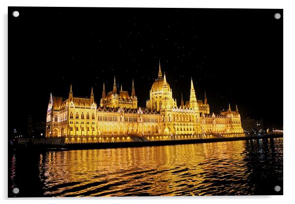 Parliament Building At Night Acrylic by Tony Murtagh
