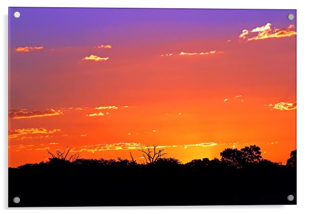  Hwange Sunset Acrylic by Tony Murtagh