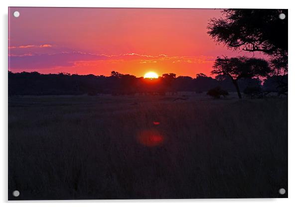  Hwange Sunset Acrylic by Tony Murtagh