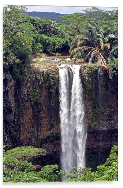 Chamarel Waterfalls Acrylic by Tony Murtagh