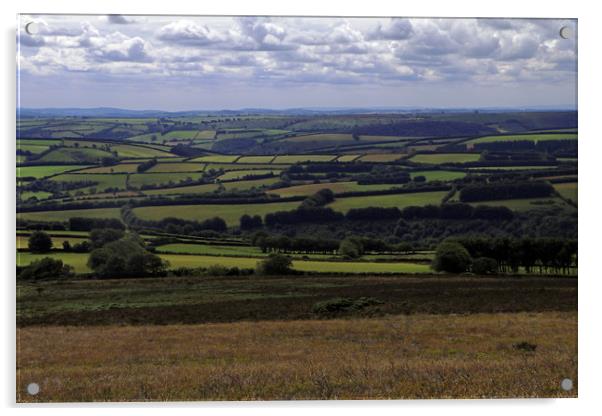 Exmoor Landscape Acrylic by Tony Murtagh