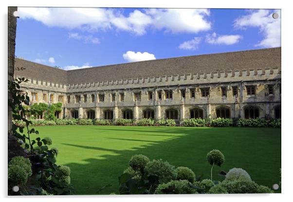 Magdalen College Cloisters Acrylic by Tony Murtagh