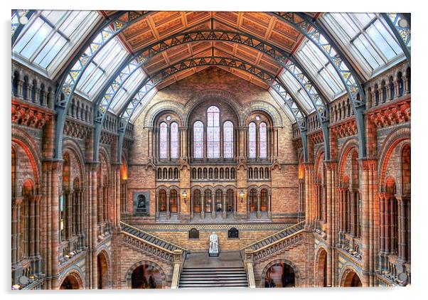 Natural History Museum Acrylic by Gillian Oprey