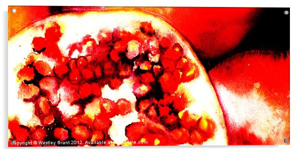 Pomegranate Acrylic by Westley Grant