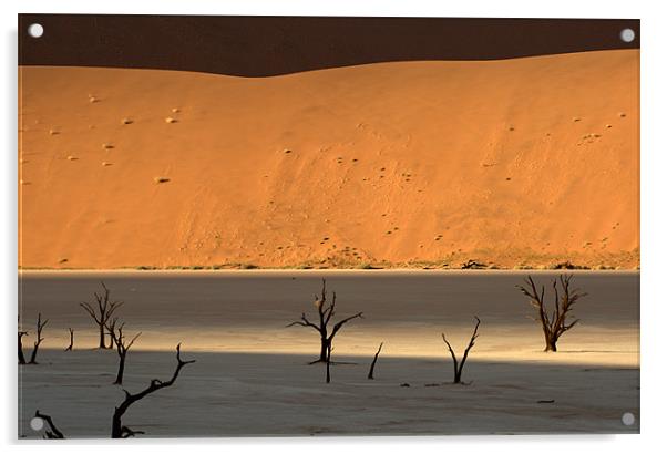Namib desert Acrylic by Michal Cerny