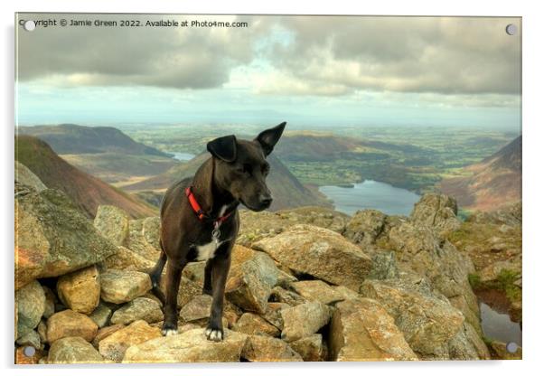 Patterdale On Top Acrylic by Jamie Green