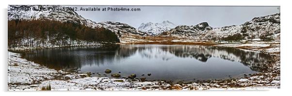 The December Tarn Acrylic by Jamie Green