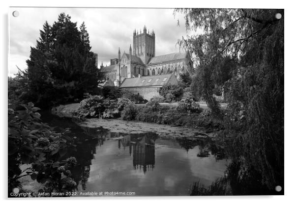  Cathedral at Wells, Somerset, England Acrylic by Aidan Moran