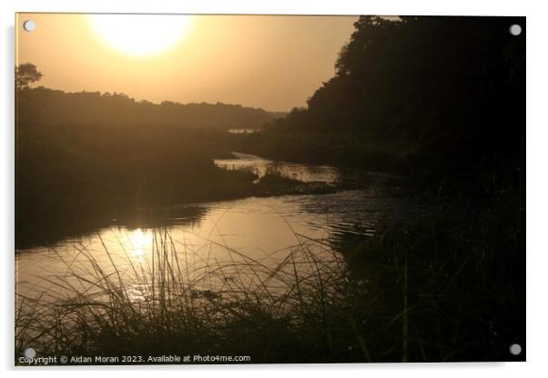 Sunset at Chitwan National Park Acrylic by Aidan Moran
