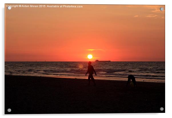  The Beach At Sunset  Acrylic by Aidan Moran