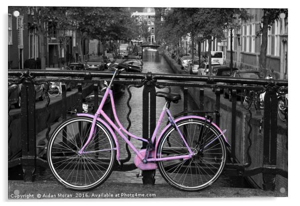 Pink Bicycle By The Canal  Acrylic by Aidan Moran