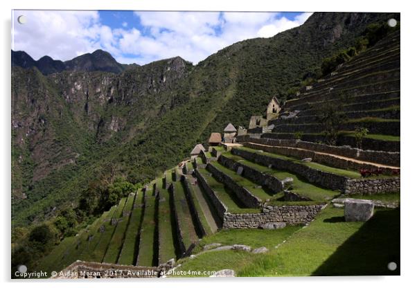 Machu Picchu Terraced Sector  Acrylic by Aidan Moran