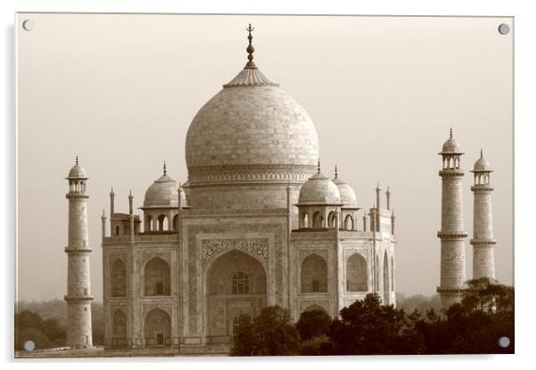 Taj Mahal, Agra, India  Acrylic by Aidan Moran