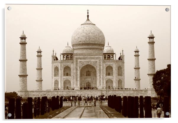 The Taj Mahal At Agra, India Acrylic by Aidan Moran