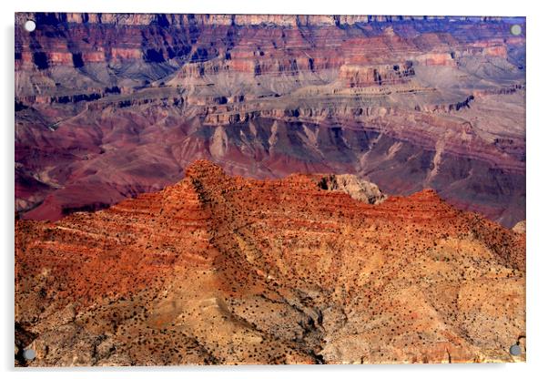 Grand Canyon  Acrylic by Aidan Moran