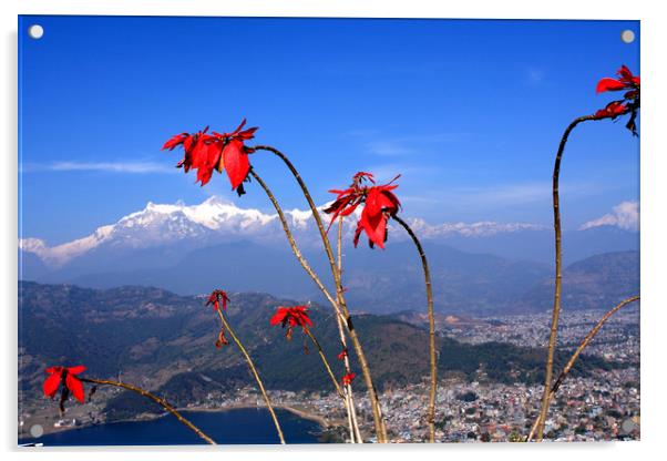 Himalayan City Of Pokhara, Nepal  Acrylic by Aidan Moran