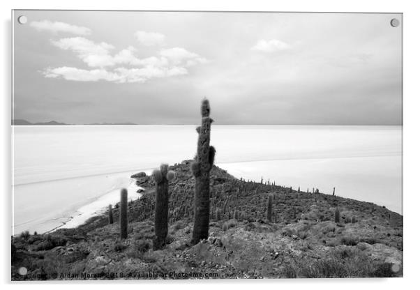 Giant Cacti on Isla Incahuasi, Bolivia   Acrylic by Aidan Moran