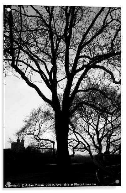 Tree Silhouette at Greenwich Park, London   Acrylic by Aidan Moran