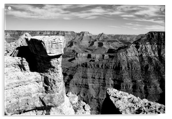 Grand Canyon, Arizona, North America  Acrylic by Aidan Moran
