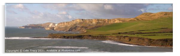 Kimmeridge Bay and the Dorset Coast  Acrylic by Colin Tracy