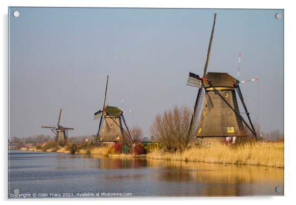 Windmills at Kinderdijk, Holland Acrylic by Colin Tracy