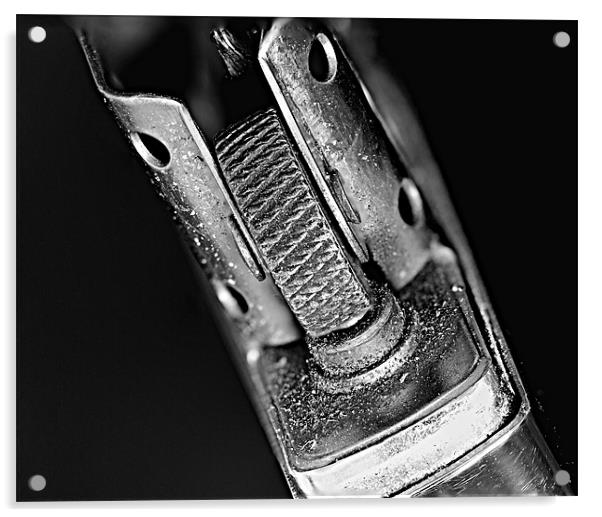 Trusty Dusty Lighter Acrylic by David Merrifield