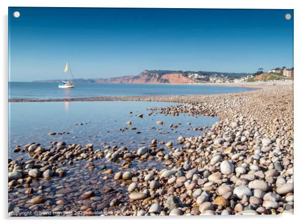 All Moored up at Budleigh Salterton Acrylic by David Merrifield