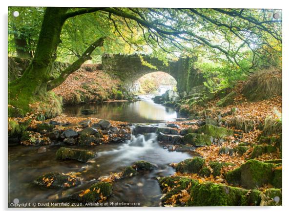 Robbers Bridge at the Lorna Doone Valley (Exmoor) during autumn Acrylic by David Merrifield