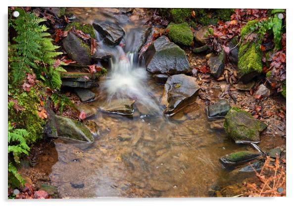 A splash in the stream Acrylic by David McCulloch