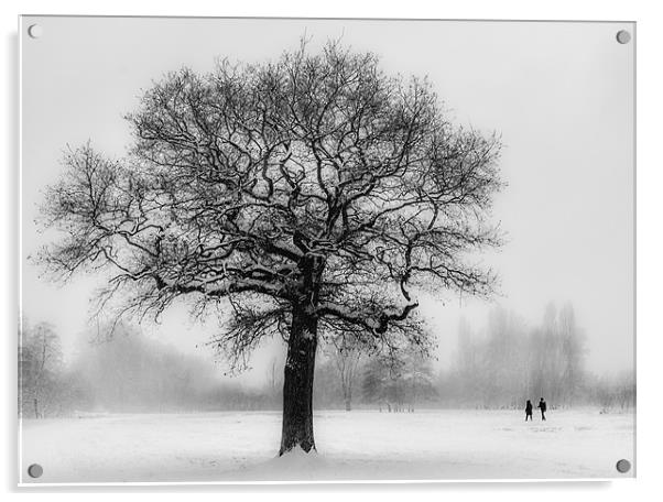 Walking in a winter Wonderland Acrylic by Ian Hufton