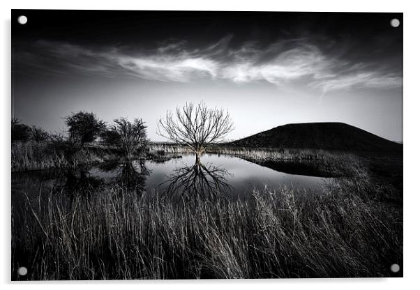 Elmley Marshes Acrylic by Ian Hufton