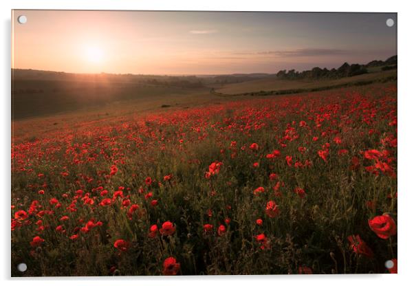 Poppy Field Acrylic by Ian Hufton