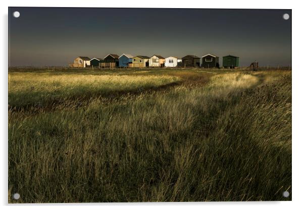 Seasalter Beach Huts Acrylic by Ian Hufton