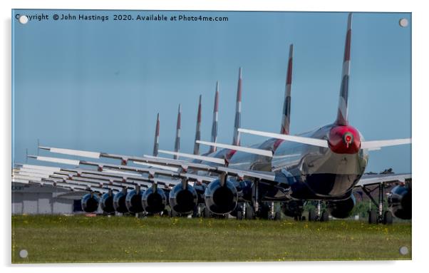 Grounded Wings Acrylic by John Hastings