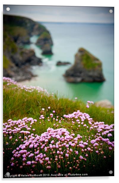 Wild Sea Pinks in Cornwall Acrylic by Helen Northcott