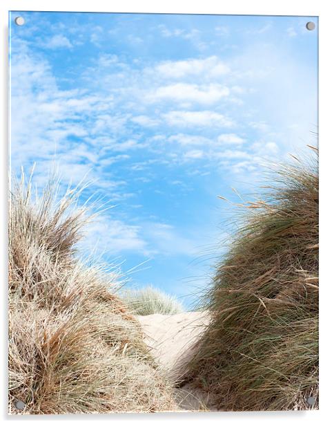 Path Through the Dunes Acrylic by Helen Northcott